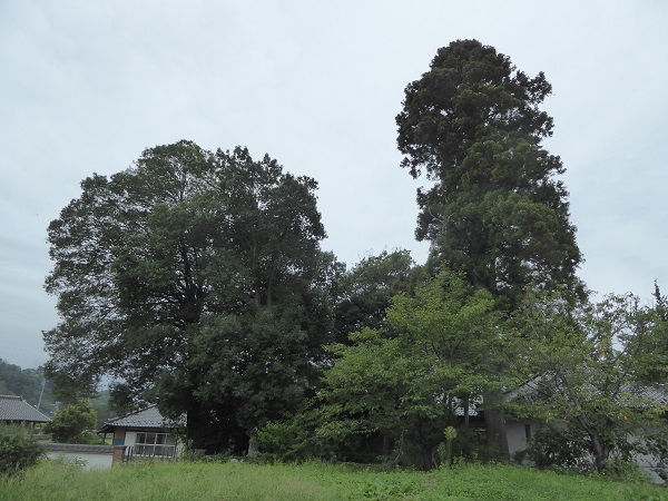 作業前の全景