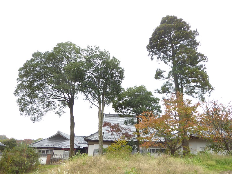 作業後の全景